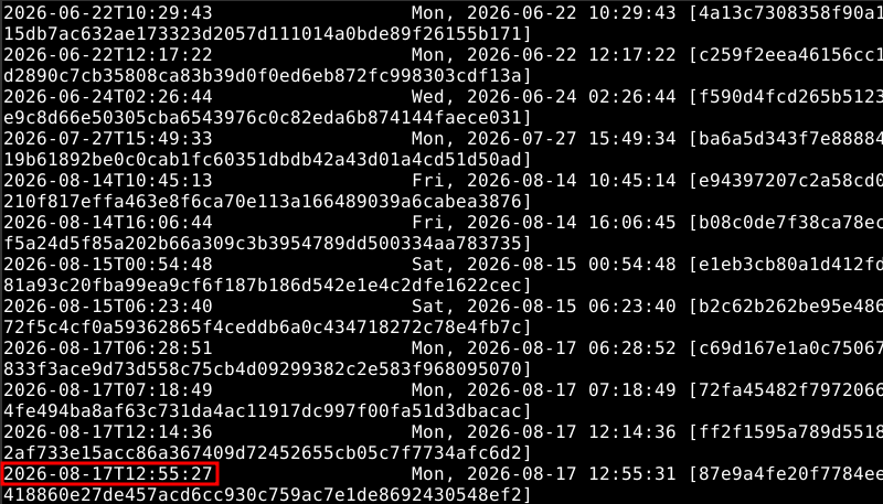 Output of borg list: one line per archive, named by timestamp